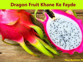 Dragon Fruit Khane Ke Fayde