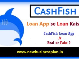 CashFish Loan App Details