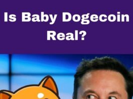 Future of Baby Dogecoin